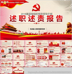 述職報告（支部書記）(年圖書館黨支部書記述職報告)