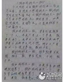 作文生二胎開頭怎么寫