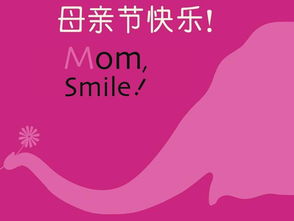 母親節(jié)的獻禮作文開頭結(jié)尾