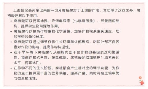 不再困惑作文開頭