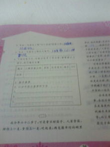 我的樂與憂開頭作文