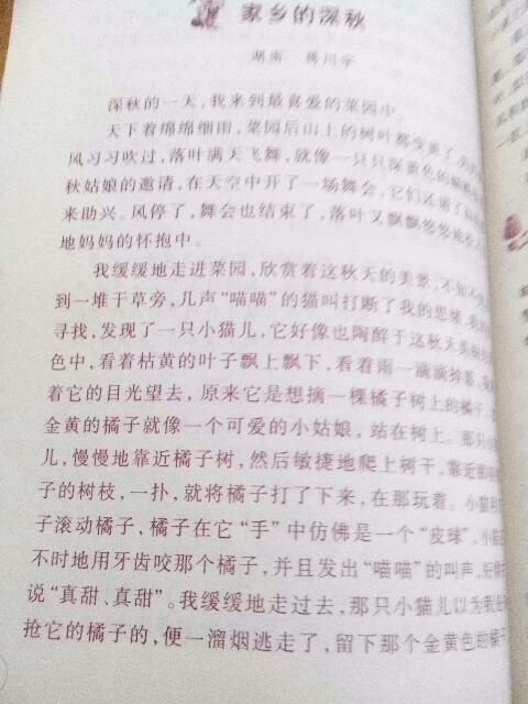 寫家鄉(xiāng)風(fēng)景600字作文開(kāi)頭