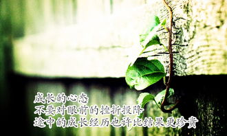 初一成長(zhǎng)的作文開頭結(jié)尾