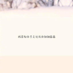 遇見你很幸運(yùn)作文開頭