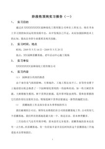 畢業(yè)論文實(shí)踐報(bào)告(畢業(yè)論文實(shí)踐報(bào)告)