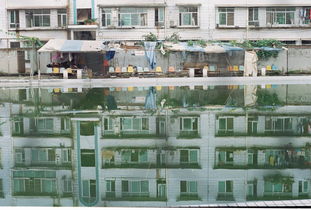 懷念母校200作文開頭