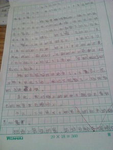 小學(xué)六級寫難忘的人作文500字作文開頭