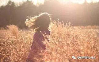 作文,不期而遇,開頭,珍惜