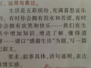 生活是自己的作文600字作文開頭