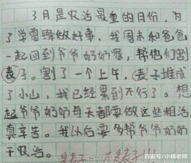 那次我笑了寫(xiě)一篇作文開(kāi)頭