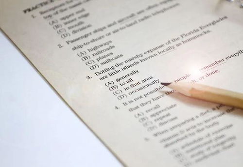 讓英語老師眼前一亮的作文開頭