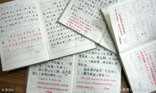 寫暑假生活的作文開頭