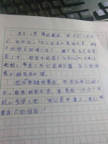 沒有把握好機(jī)會(huì)的作文開頭