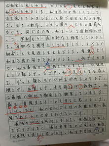 關(guān)于手的作文300字左右(關(guān)于能手的作文400字左右)