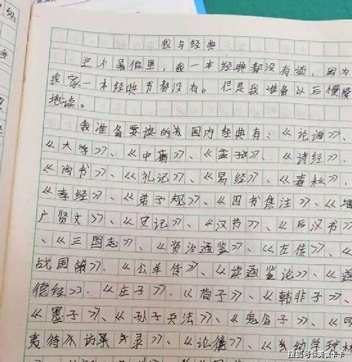 我不得不說(shuō)謊作文開(kāi)頭