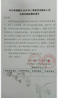 申請上級資金補助報告(向上級申請資金報告)