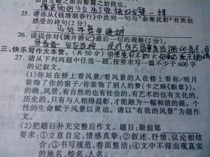 讓我著迷的風(fēng)景的800字作文開頭