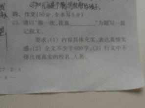 那一次我真為題600字的作文開(kāi)頭