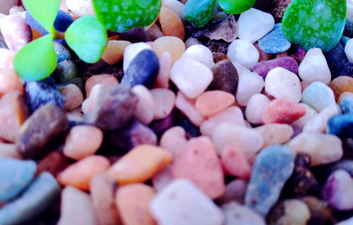 關(guān)于成長(zhǎng)中的感動(dòng)作文開(kāi)頭結(jié)尾怎么寫