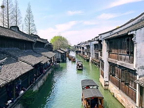 美麗西塘作文開(kāi)頭