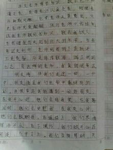 最懂我的一個人500字作文開頭結(jié)尾