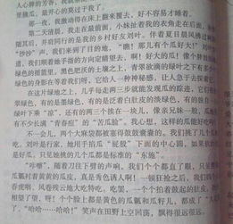 我身邊的新農村的作文開頭