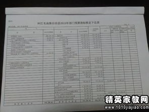 經(jīng)費(fèi)自查報(bào)告(經(jīng)費(fèi)自查報(bào)告)