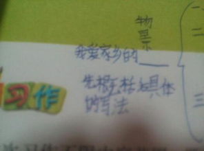 有關(guān)于愛家鄉(xiāng)的作文600字作文開頭