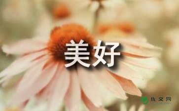 在這里遇見(jiàn)美好作文600字作文開(kāi)頭