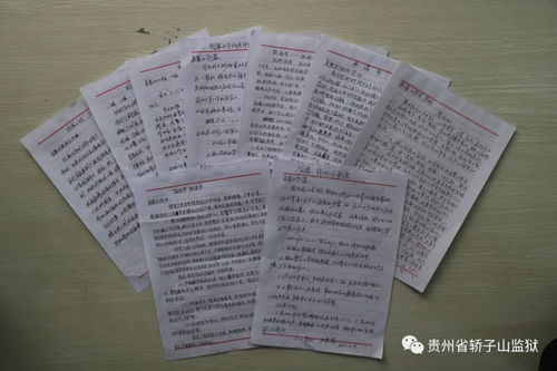 親情體驗(yàn)感悟的作文的開(kāi)頭