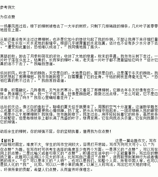 以為我點(diǎn)贊為題寫一篇作文開頭