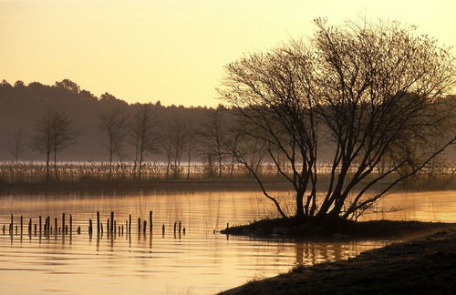 這個寒假不一樣作文開頭