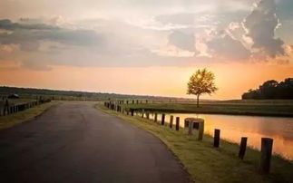 平等作文開頭結(jié)尾優(yōu)美段落