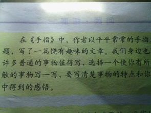 身邊發(fā)現(xiàn)美的作文開(kāi)頭怎么寫(xiě)