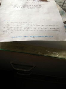 特別的她作文600字開頭