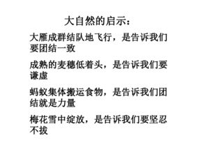 生活中的啟示作文精彩開頭