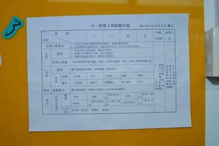 幼兒園保育保教經(jīng)費的自查報告范文(幼兒園保育保教經(jīng)費的自查報告范文)