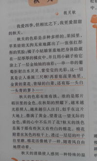 秋天作文開頭結(jié)尾