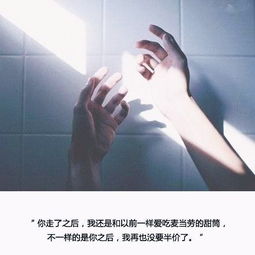 珍惜所有的不期而遇作文開頭