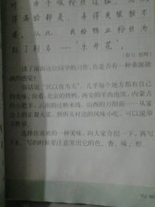 江西美食作文開頭