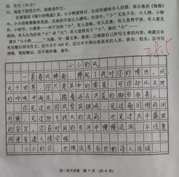 總起全文的作文開頭6