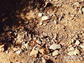 作文冬季景象開頭怎么寫