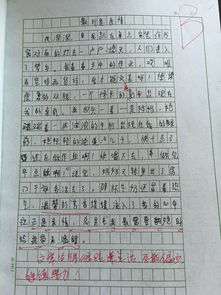 作文親人的開(kāi)頭結(jié)尾優(yōu)美的句子