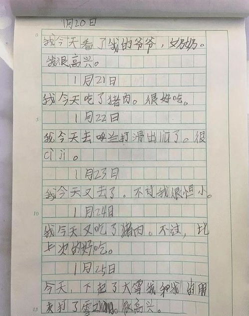 寫寒假作文開頭