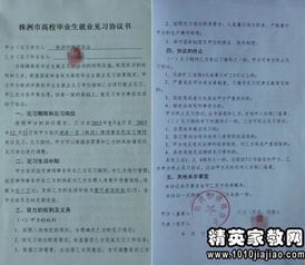 審計(jì)社會(huì)實(shí)踐報(bào)告(會(huì)計(jì)審計(jì)專業(yè)生社會(huì)實(shí)踐報(bào)告)