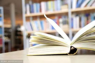 作文開頭我讀過(guò)的一篇書