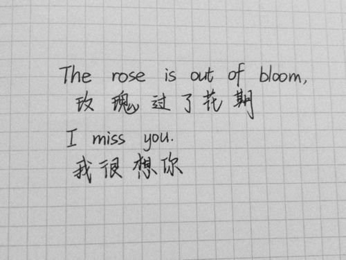 手機(jī)一眼就能讓人淪陷的作文開(kāi)頭