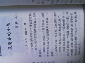 開學(xué)第一周周記400字作文開頭