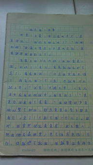 遇見什么的作文好開頭