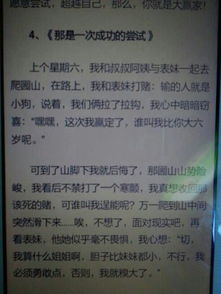 那是一次嘗試500字作文開頭結尾